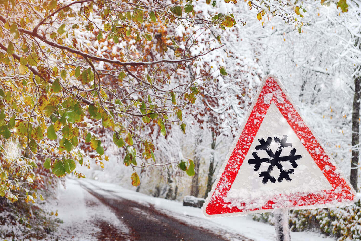 MNGF4Fg59gDWvoJpXZNn7V_JqLUflGJj87CQJBXvjuziAnGGGdNPm0onUOgEKwEJyLE4HhZ8pOKZTLQnBLgFIsWjKCQmOv9FOeKV-5IduzBo30rpqLyQGw7q-66uxZmLRvZhaTe139xL