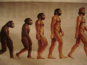 antroposociogenes