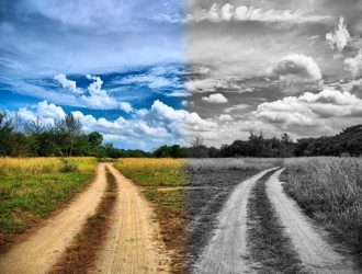Людяність – це, в першу чергу, повага до людини та її гідності