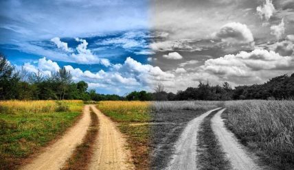 Людяність – це, в першу чергу, повага до людини та її гідності