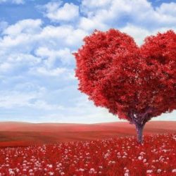 День святого Валентина: історія виникнення свята, традиції, цікаві факти.