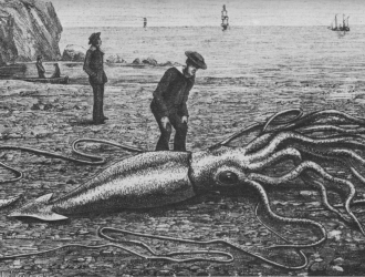 Кракен – чудовисько морських глибин