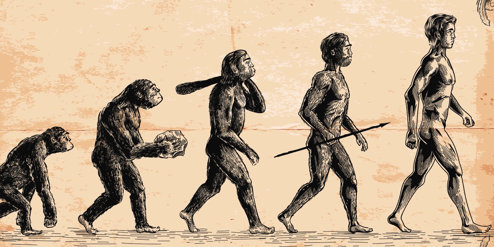 The Problem Of The Meaning Of Human Life On Earth