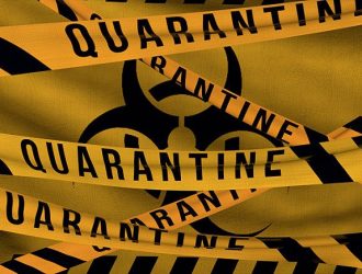 Як підвищити рівень щастя під час карантину?