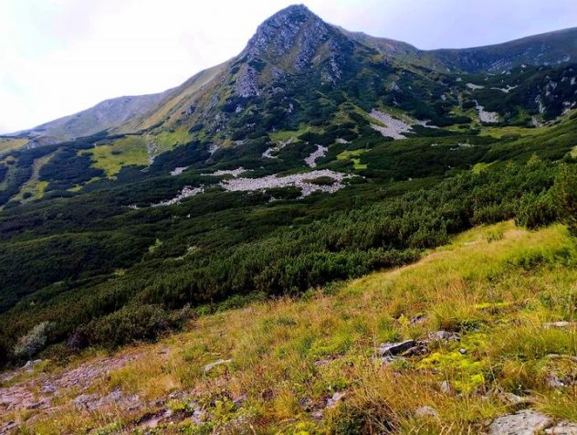 ПАЛОМНИЦЬКИЙ ШЛЯХ ЧОРНОГОРОЮ