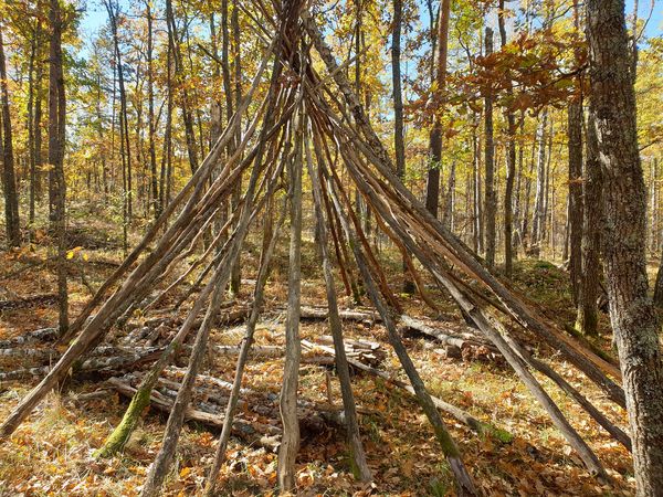 КАМ'ЯНЕ СЕЛО – КУЛЬТОВЕ МІСТО З СНОВИДІНЬ