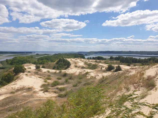 ОСТРІВ ЧАРІВНИЦЬ