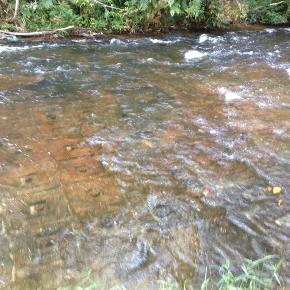 РІЧКА ТИСЯЧІ ЛІНГАМІВ СІМРІП ТА СВЯЩЕННИЙ ВОДОСПАД