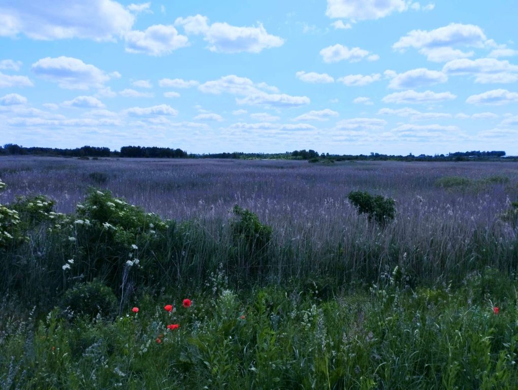 МІСТИЧНА ВОЛИНЬ: ОЗЕРО ВОСКРЕСЛИХ ДУШ, ОЗЕРО РУСАЛОК Й ХРАМ АЛХІМІЇ