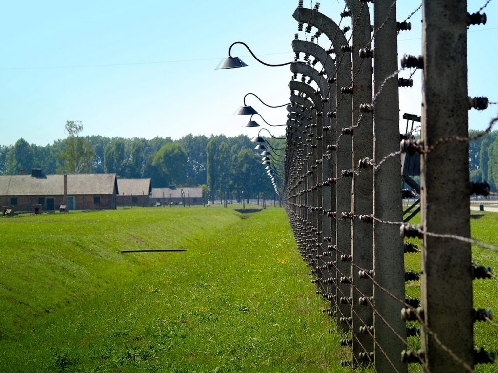 Голокост та Друга світова війна