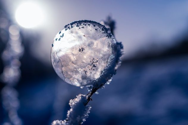 Знаки зодиака, которые перед Новым годом сходят с ума от суеты