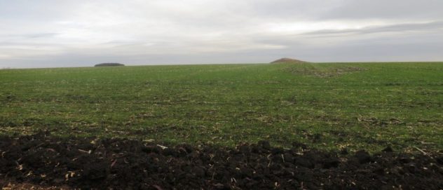 Інтерв’ю з дослідницею Ніною Ігорівною Бабанською відносно визначних природних місць Кіровоградщини