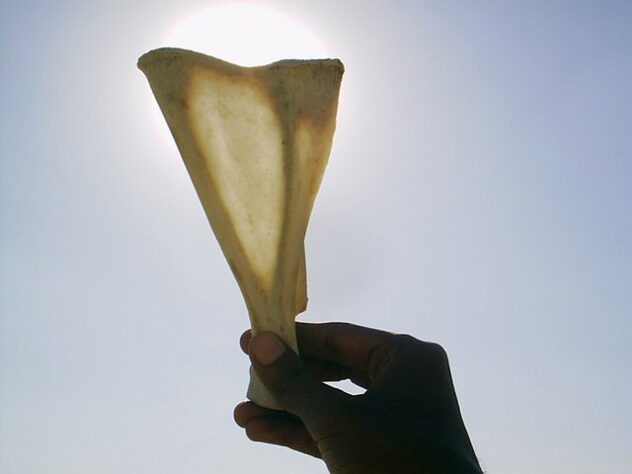 Інтерв’ю з Віталієм Щепанським про шаманізм, давні практики та сучасні вірування