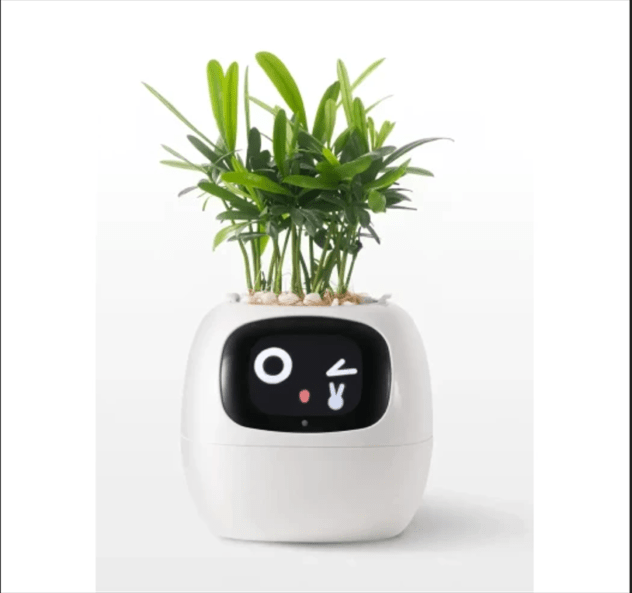 Чи має рослина розум? Антропопатизм частина ІІІ