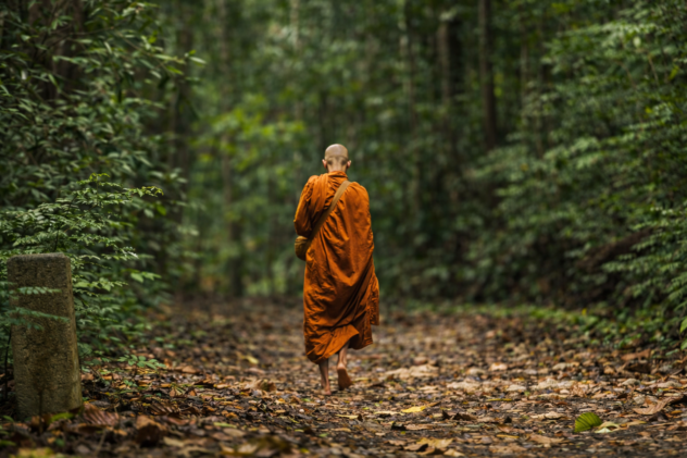 Медитація в Тхераваді: джхана і віпассана як шлях до нірвани