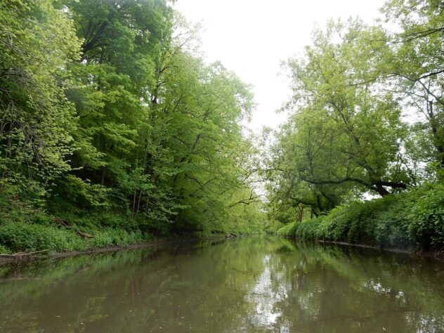 Рейди та відступ Чорного Яструба: як війна 1832 року перетворилася на виснажливе переслідування